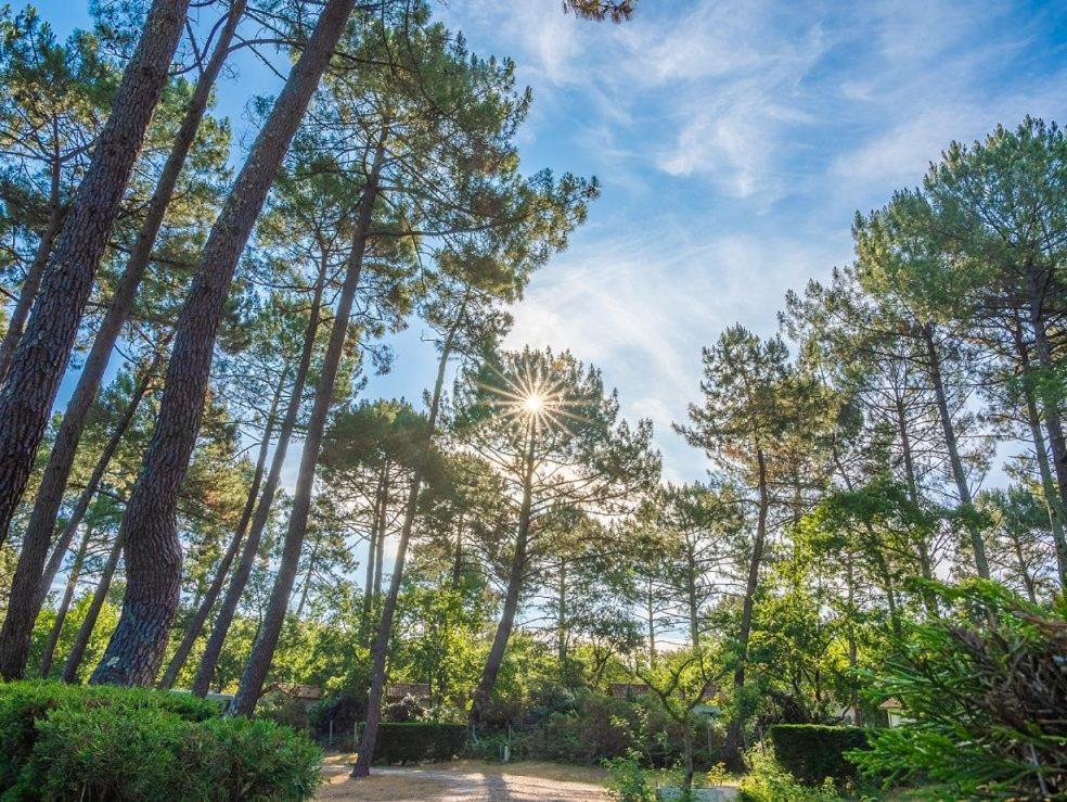 Camping Ares Exterior foto