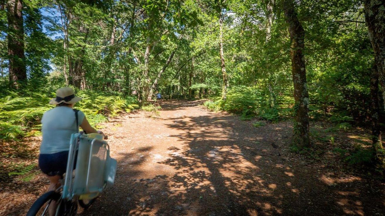 Camping Ares Exterior foto